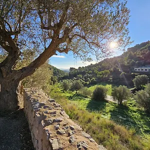 Sec , Alaro Spain